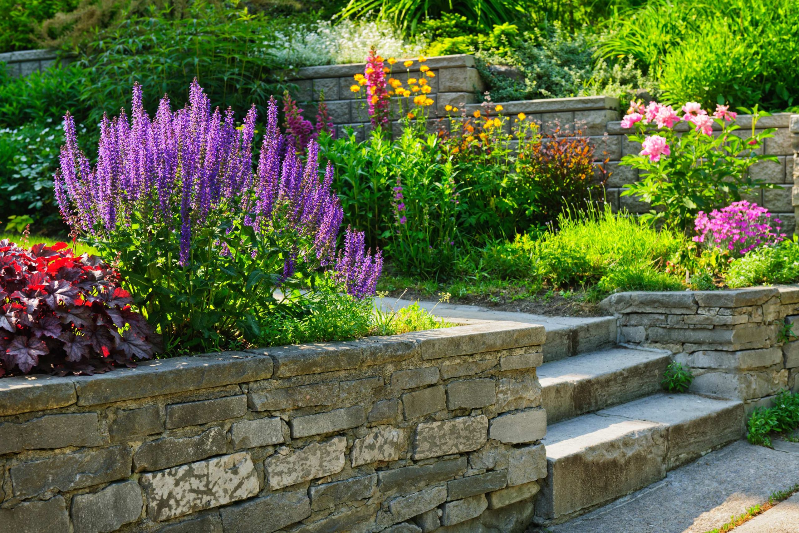 Milien Lawn Services (4)