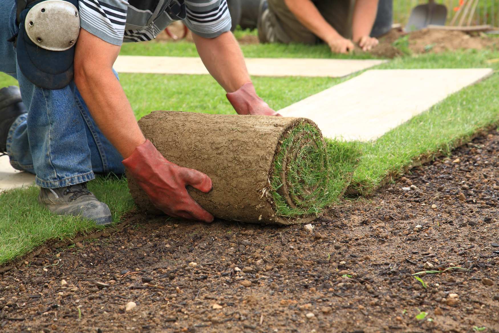 Milien Lawn Services (8)